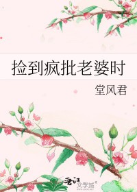 捡来的媳妇by懒几